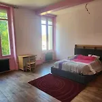 Villa Manoir, Vaste Parc Arbore Montbron