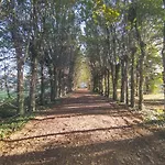 Villa Manoir, Vaste Parc Arbore