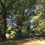 Manoir, Vaste Parc Arbore *