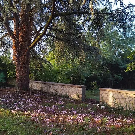Manoir, Vaste Parc Arbore *