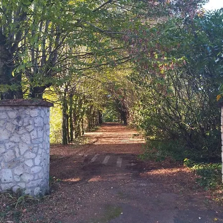 Manoir, Vaste Parc Arbore Willa