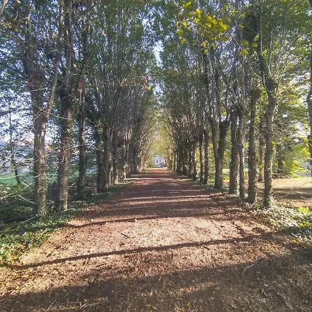 Willa Manoir, Vaste Parc Arbore