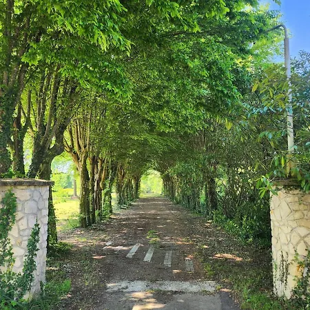 Manoir, Vaste Parc Arbore Willa