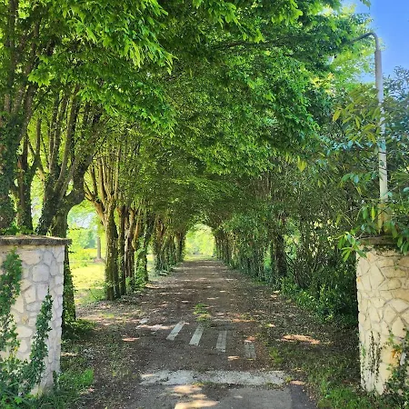 Manoir, Vaste Parc Arbore Villa