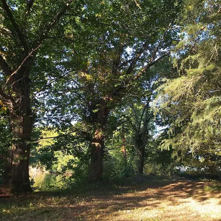 Manoir, Vaste Parc Arbore *