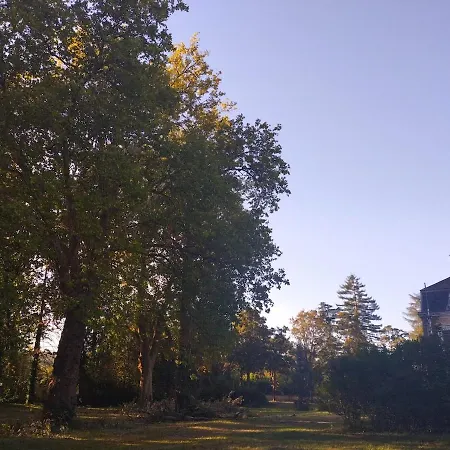 Manoir, Vaste Parc Arbore * Montbron
