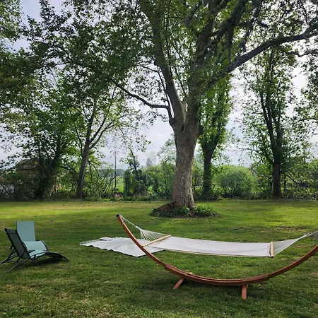 Manoir, Vaste Parc Arbore Willa